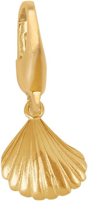 Shell Charm-GP-b
