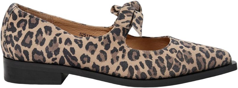 Dinasw Shoe