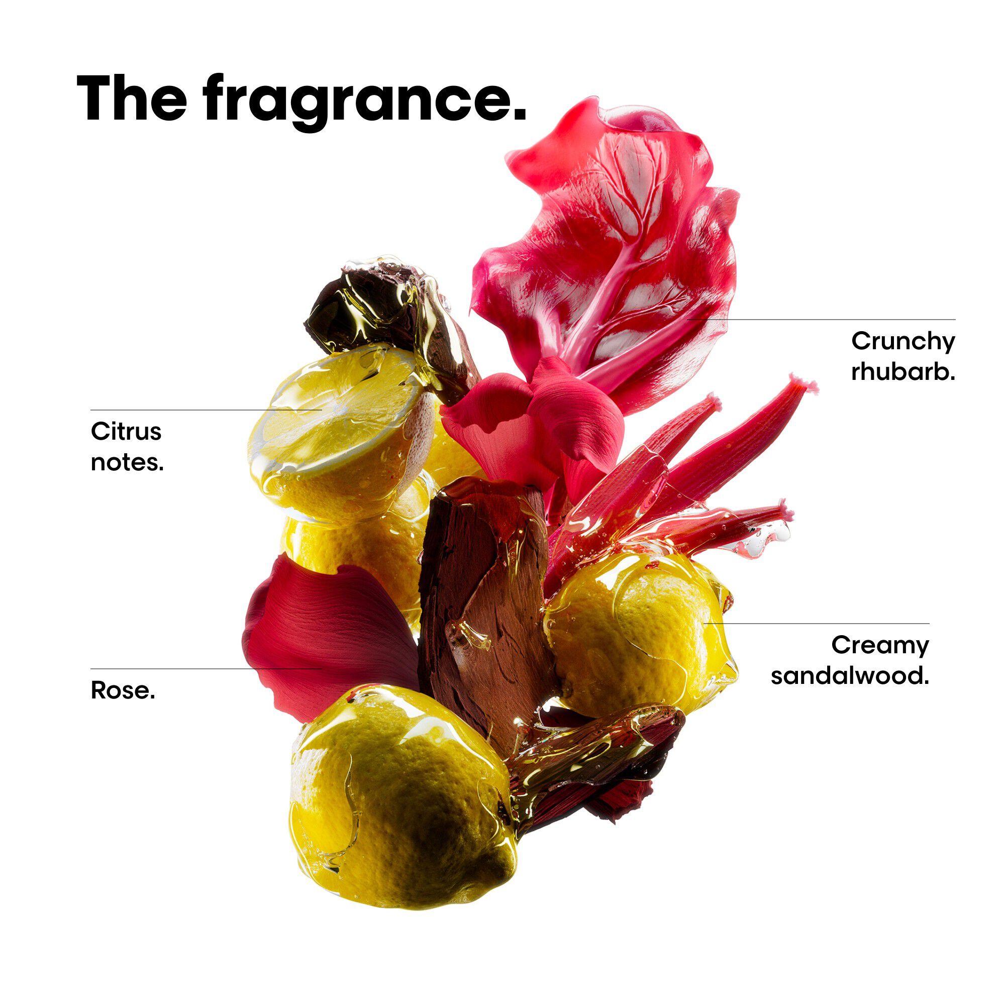 L'Or&eacute;al Professionnel Vitamino Color Spectrum Shampoo Refill 500ml