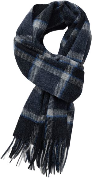 BS Bue Scarf