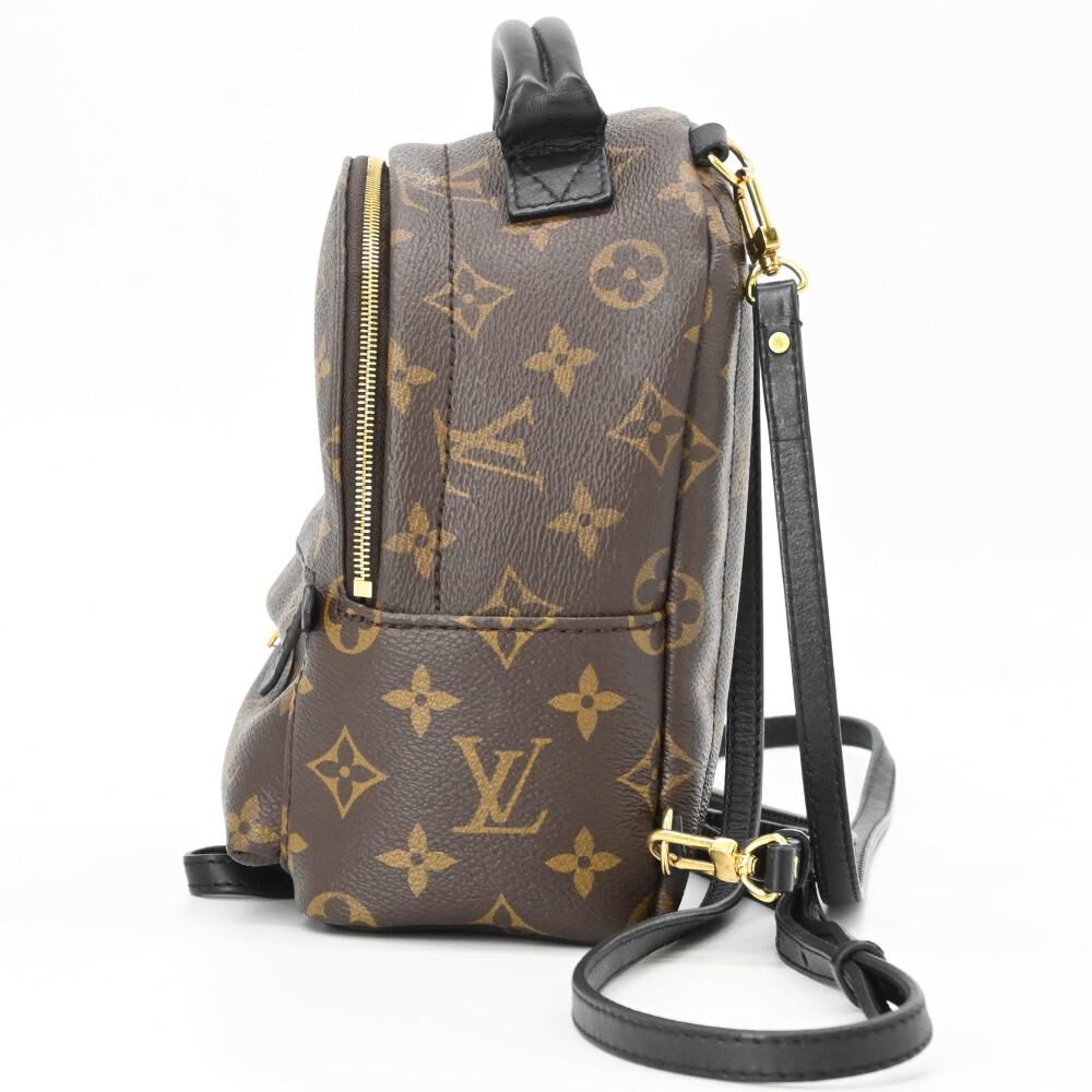 Louis Vuitton Palm Springs