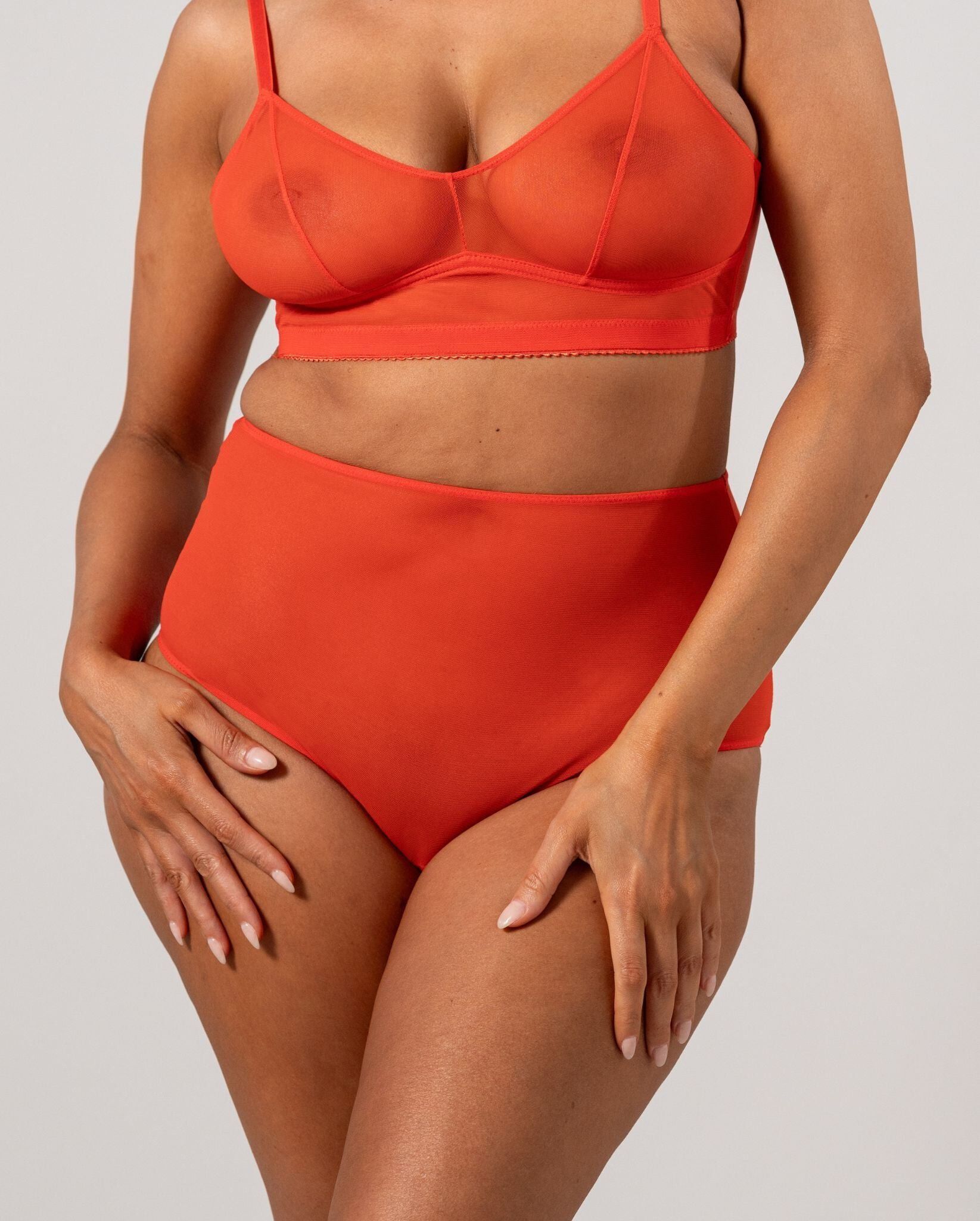 Mesh Highwaist Briefs