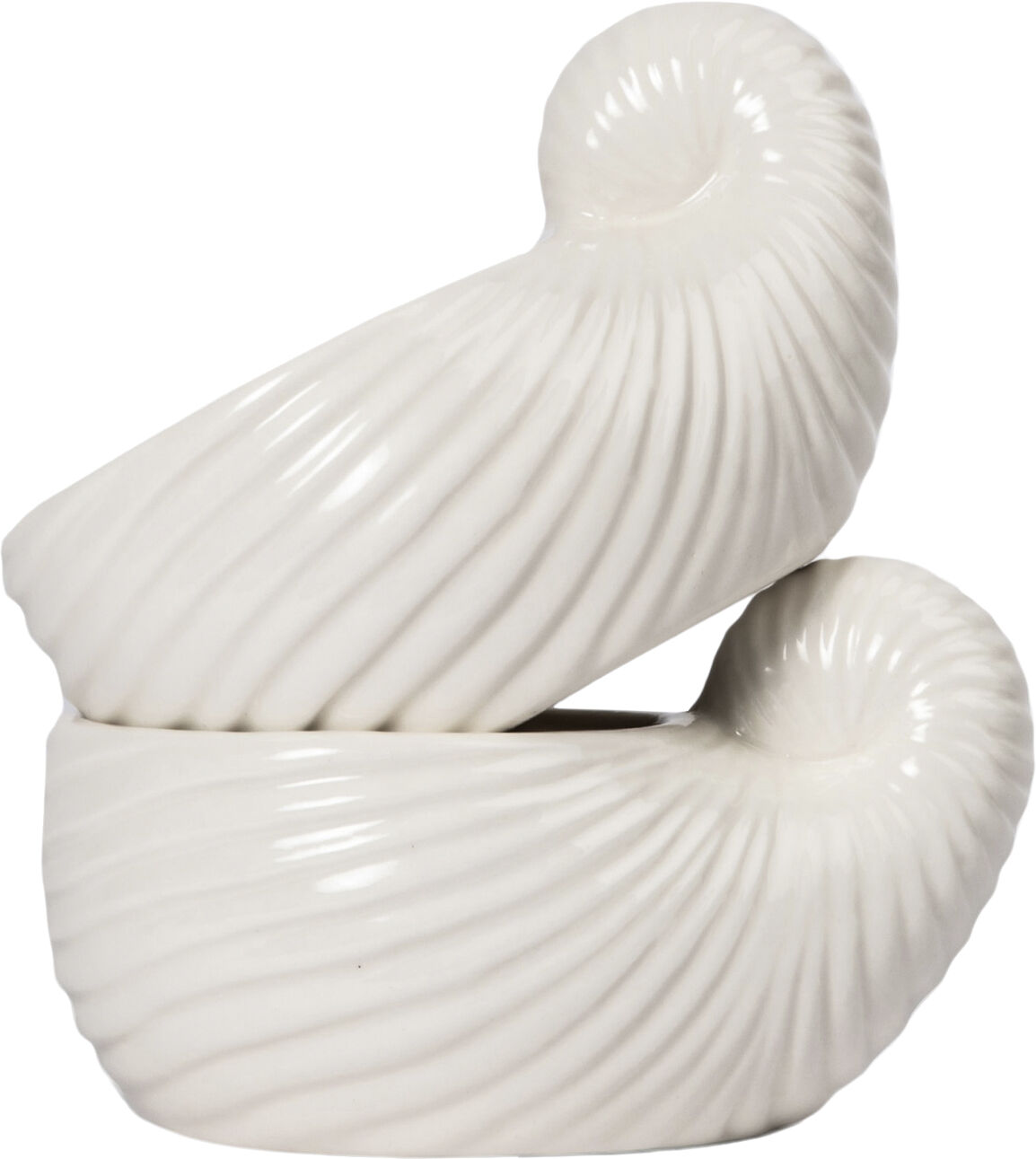 Bowl/Cup Shelley2pcs/set