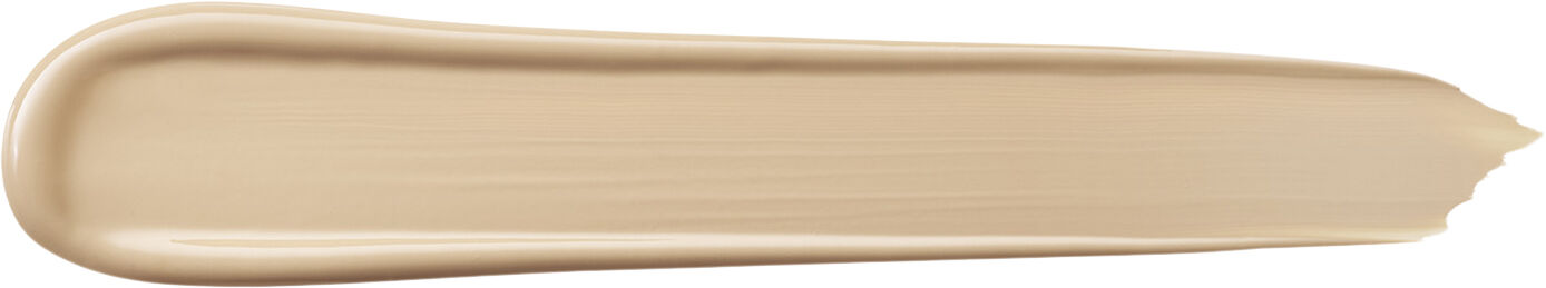 Teint Idole Ultra Wear All Over Concealer