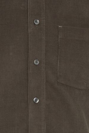 CFANTON LS BD baby cord shirt