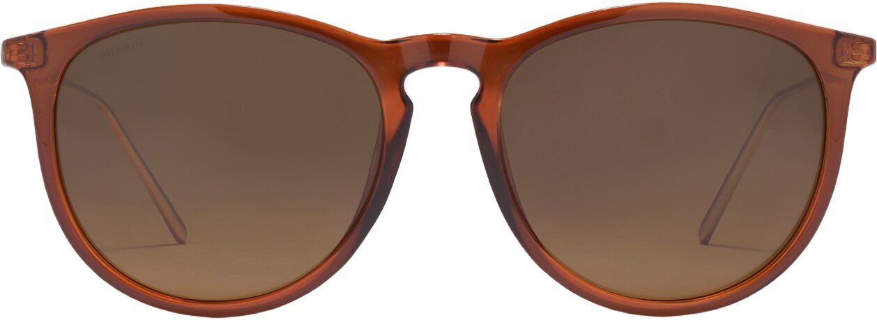 VANILLE sunglasses brown/gold