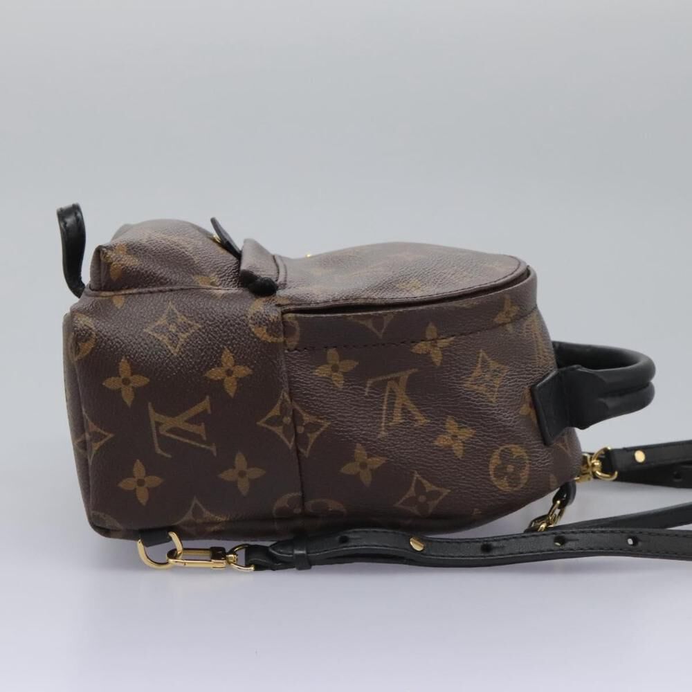 Louis Vuitton Palm Springs