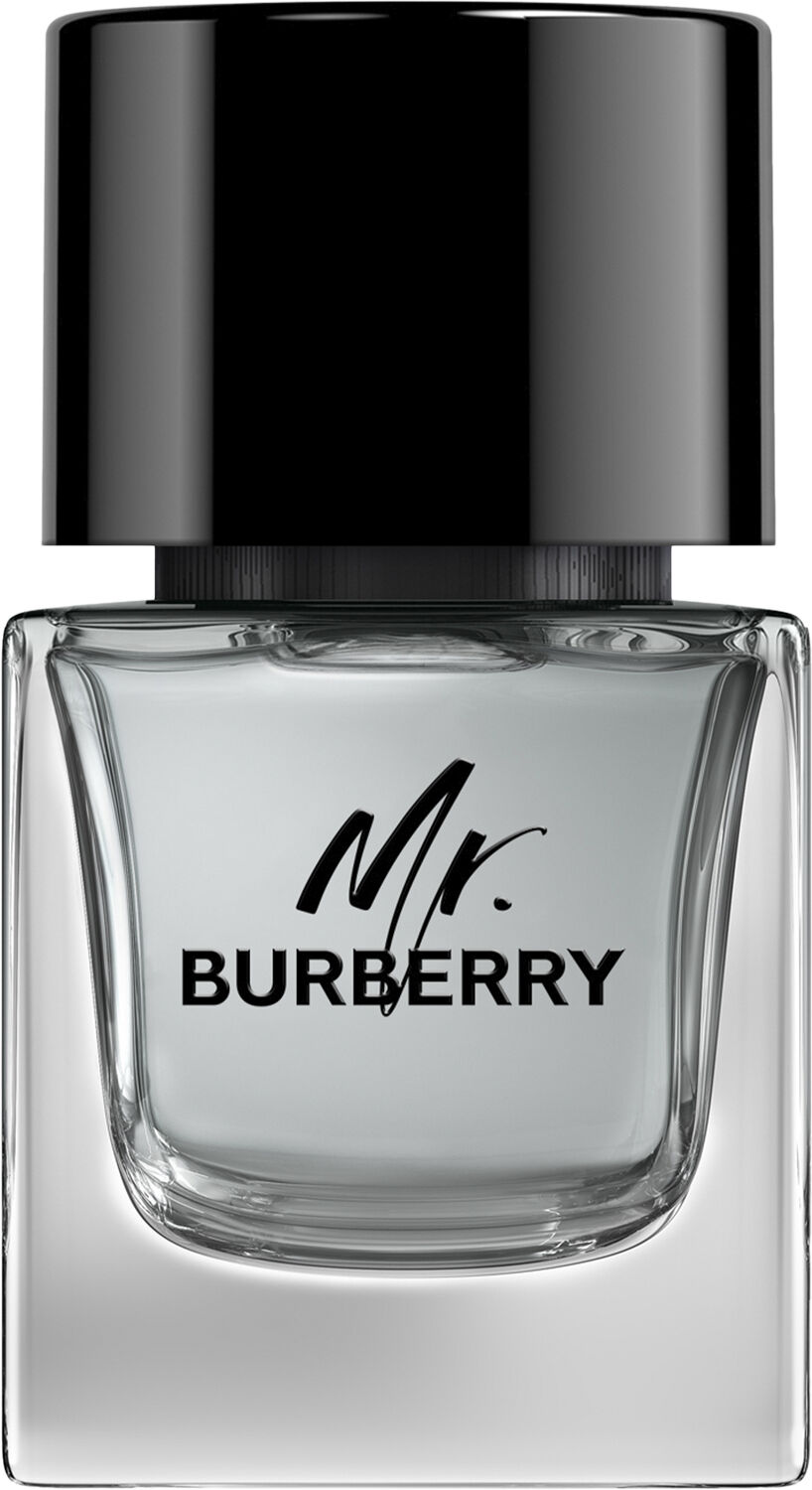 MR Burberry