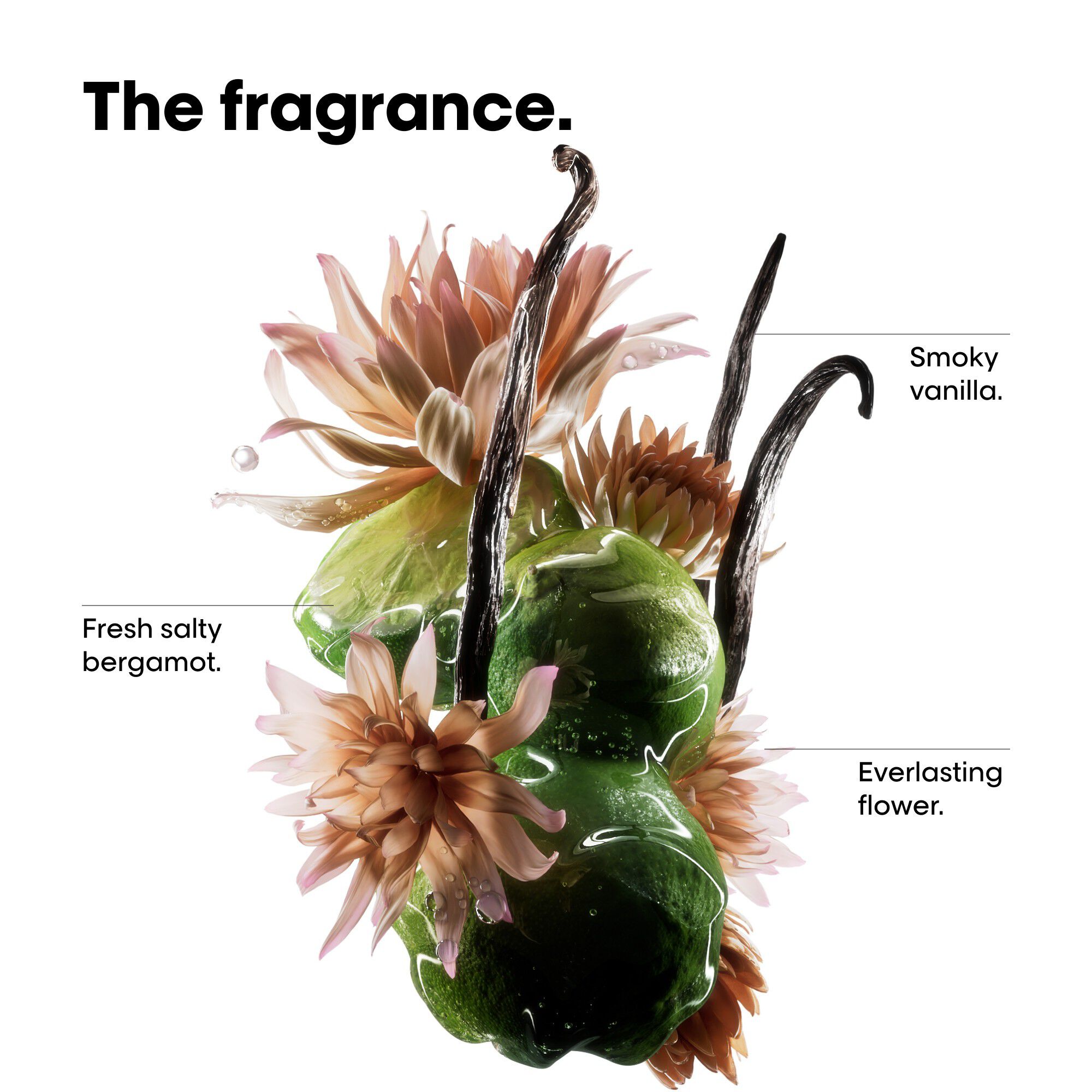 L'Or&eacute;al Professionnel Absolut Repair Molecular Discovery Set Mini: Sha