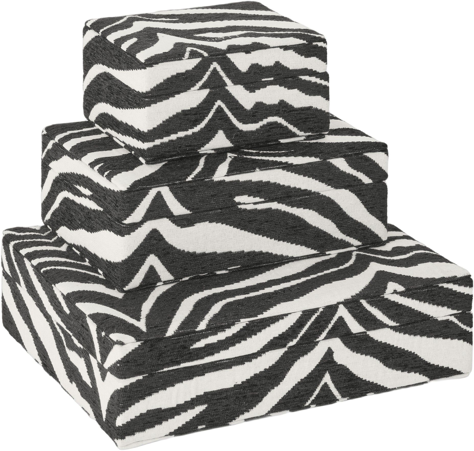 Day Zebra Jewelry Case Medium