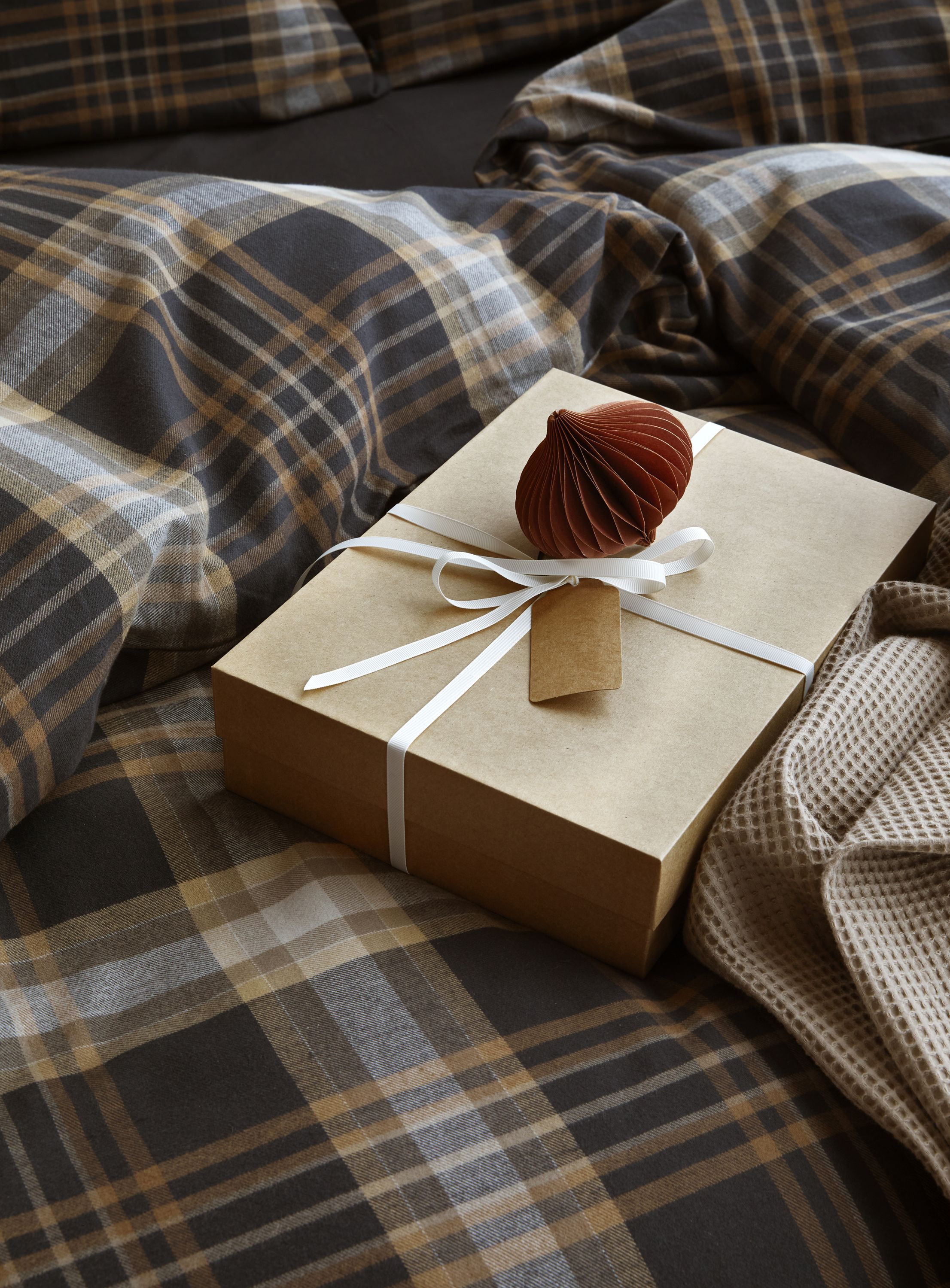 Richard senges&aelig;t d&aelig;mpet sort