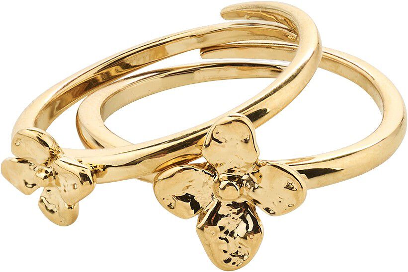 SANINE gift set, rings & earstuds, gold-plated