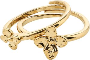 SANINE gift set, rings & earstuds, gold-plated