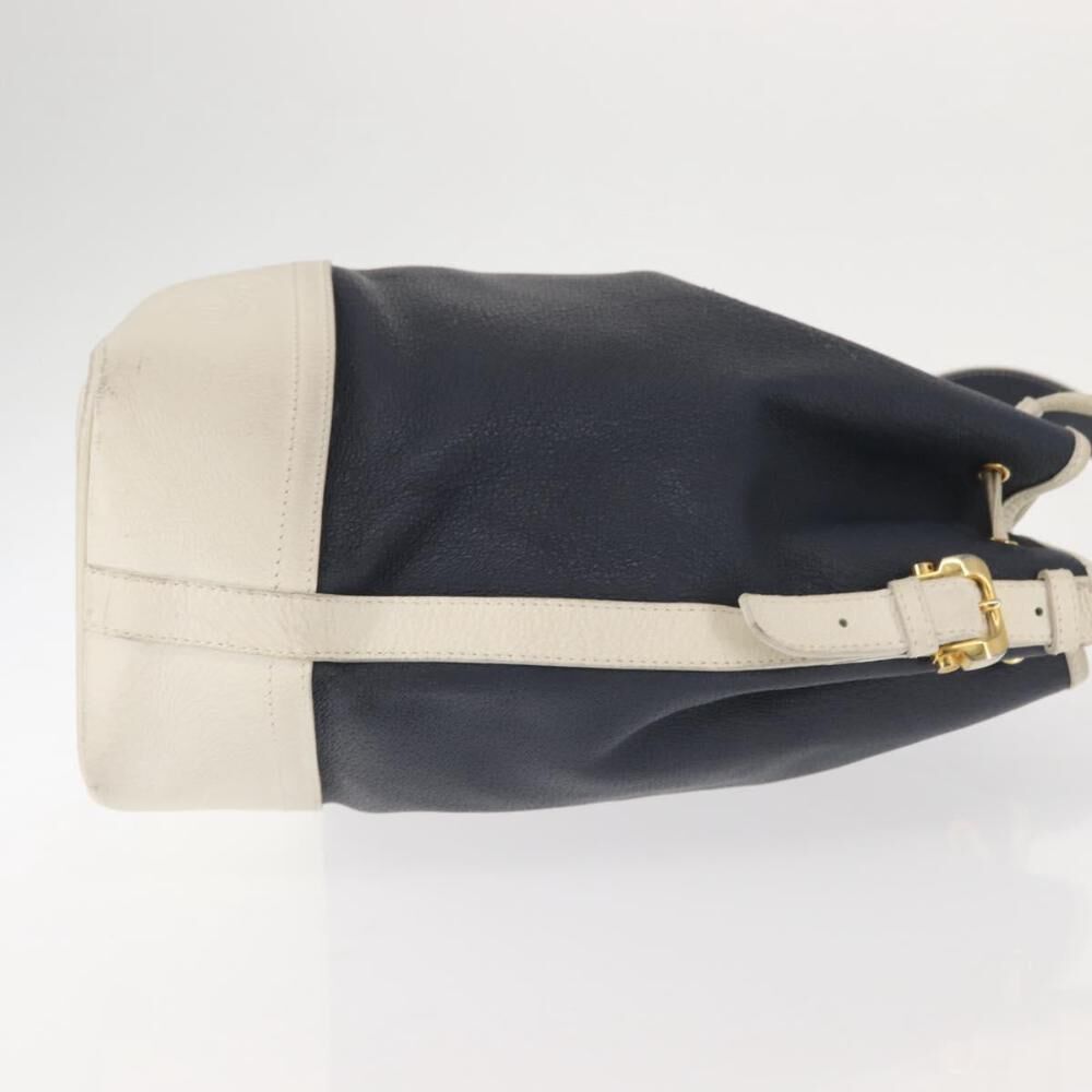 Loewe Bucket Bag