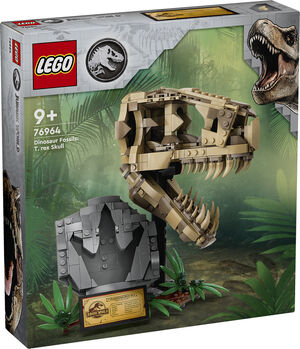 Dinosaurfossiler T-Rex kranium 76964