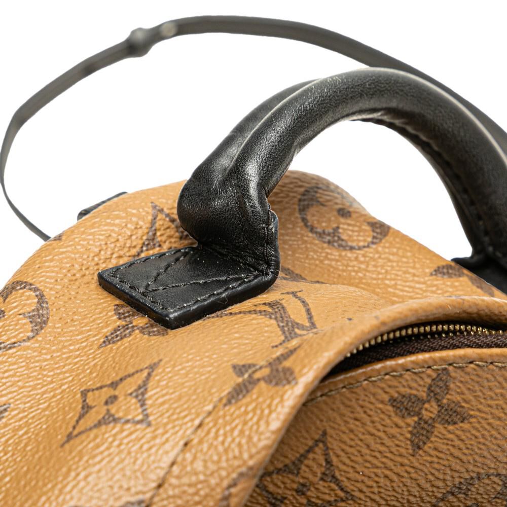 Louis Vuitton Palm Springs