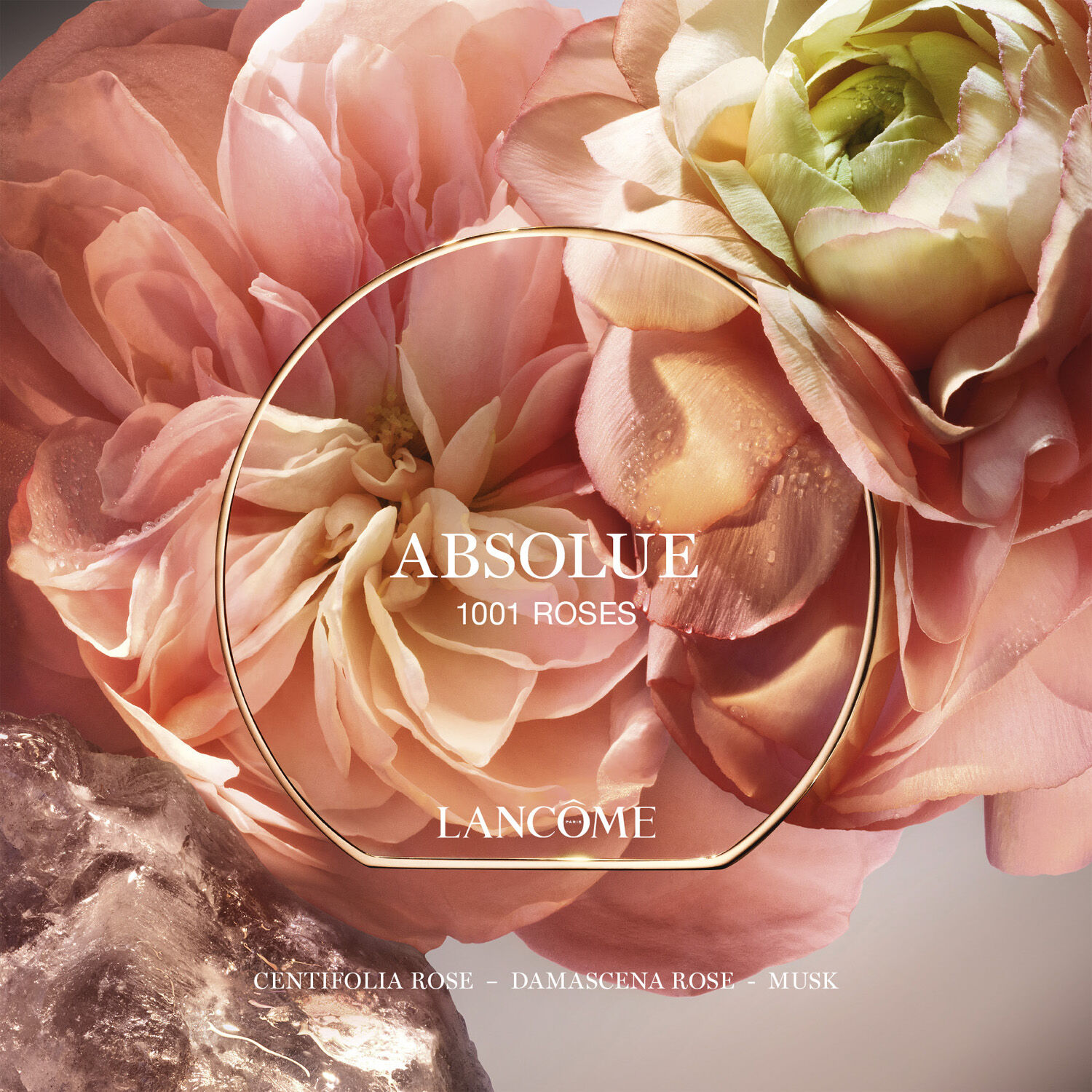 Absolue Les Parfums 1001 ROSES Eau de Parfum