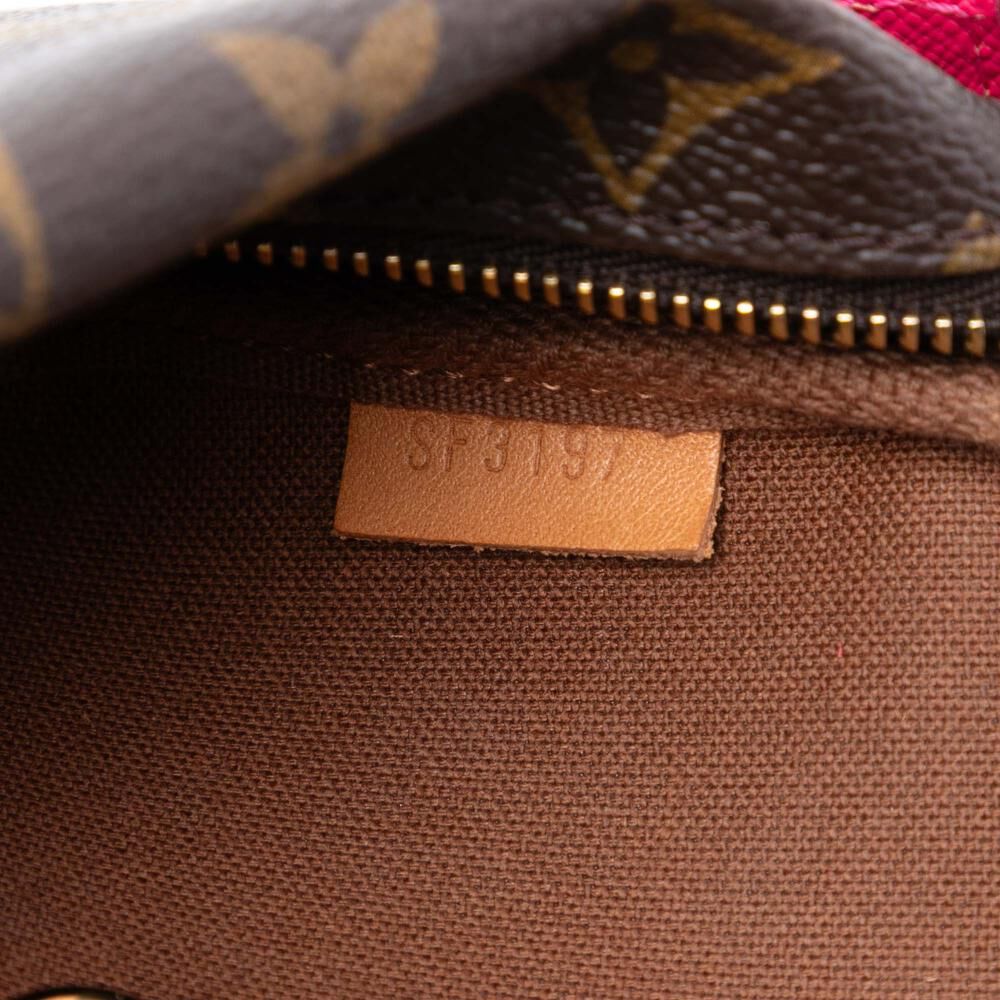 Louis Vuitton Pochette Accessoires