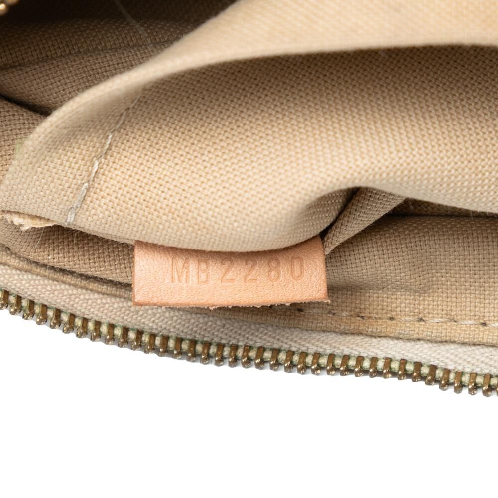 Louis Vuitton Pochette Accessoires