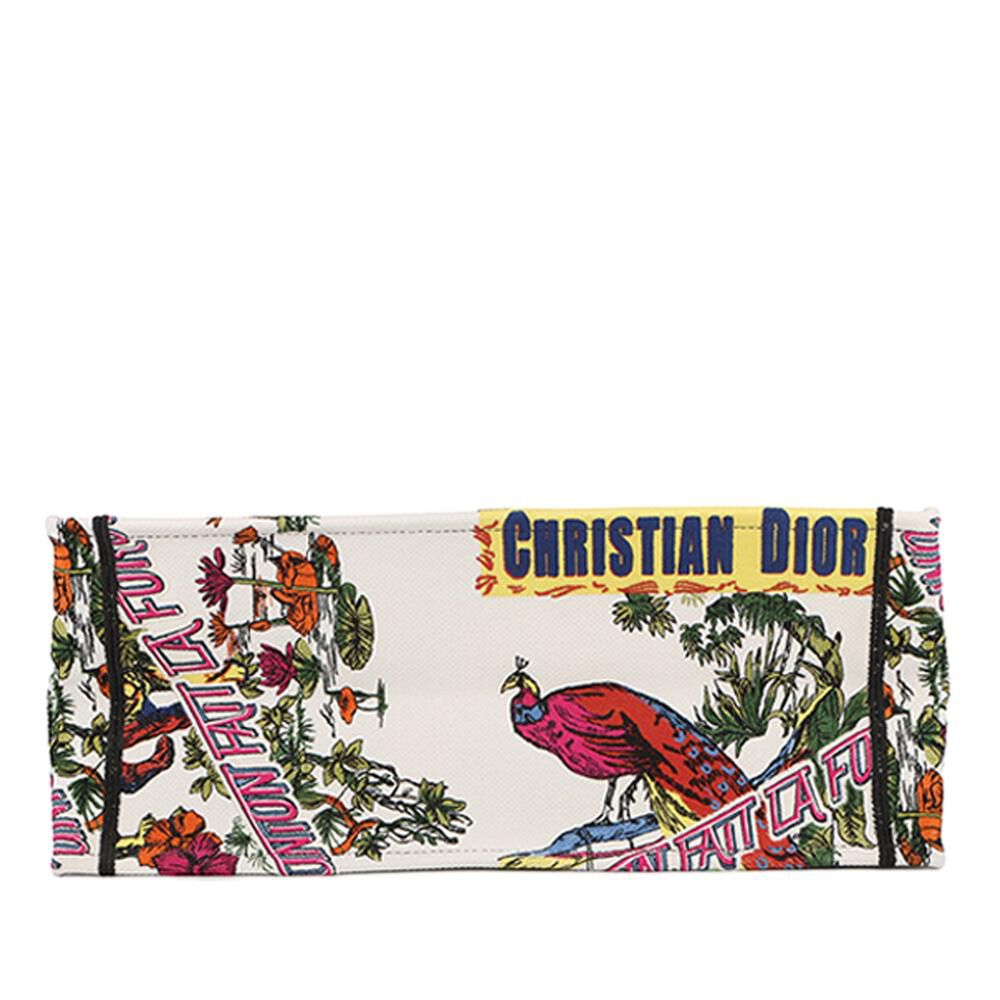 Dior Book Tote