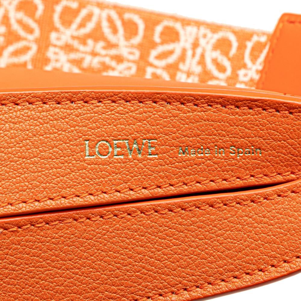 Loewe Shoulder Bag