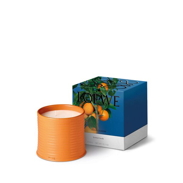 LOEWE Orange Bloss Large Candle