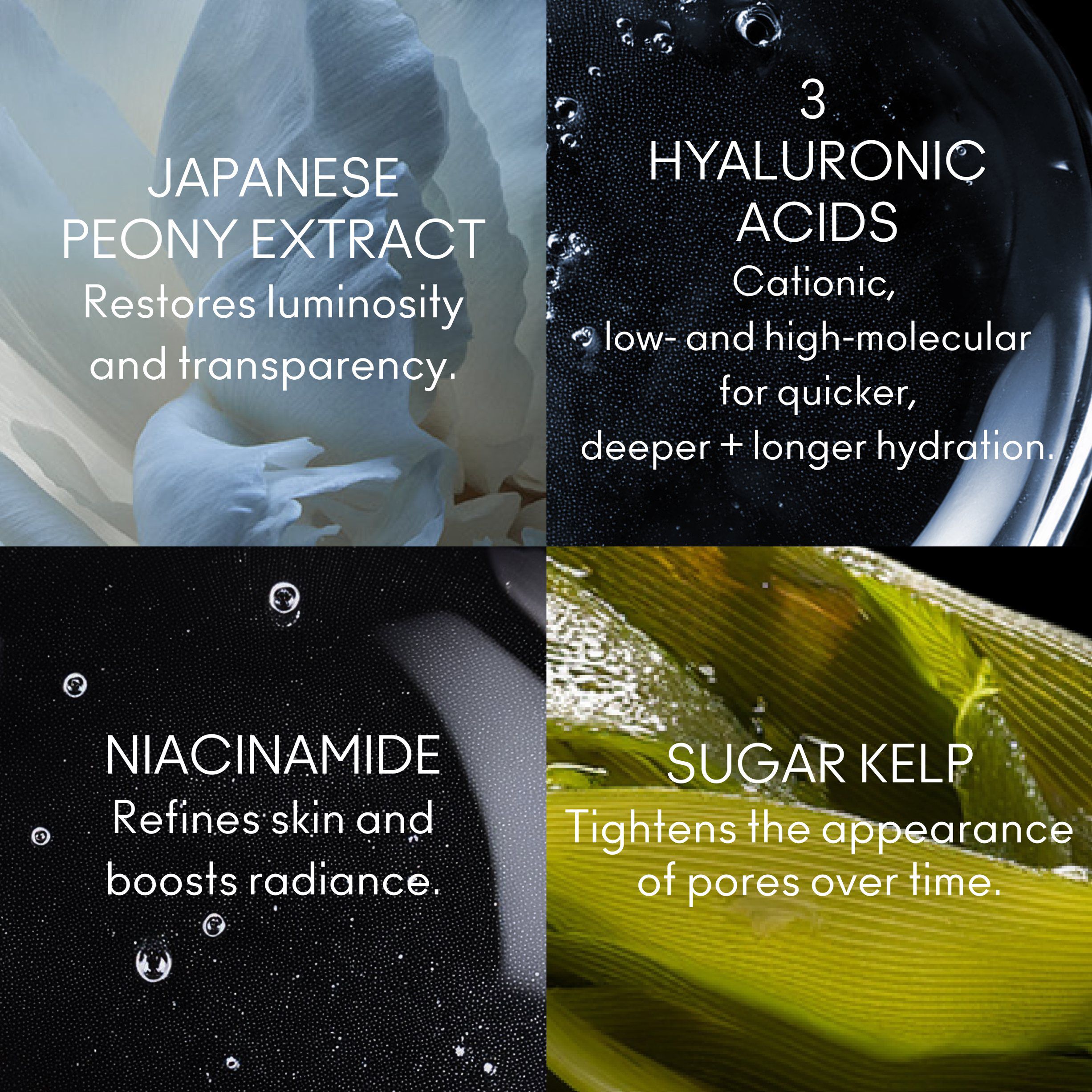 HR SKNCNVS WTRLGHT HA3 50ML/1. 7FLOZ