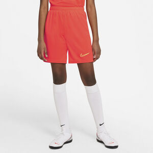 Dri Fit Academy Traeningsshorts