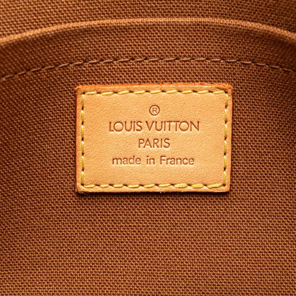 Louis Vuitton Shoulder Bags
