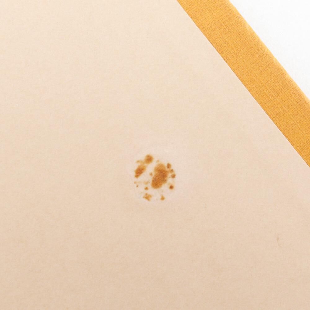 Louis Vuitton Saintonge