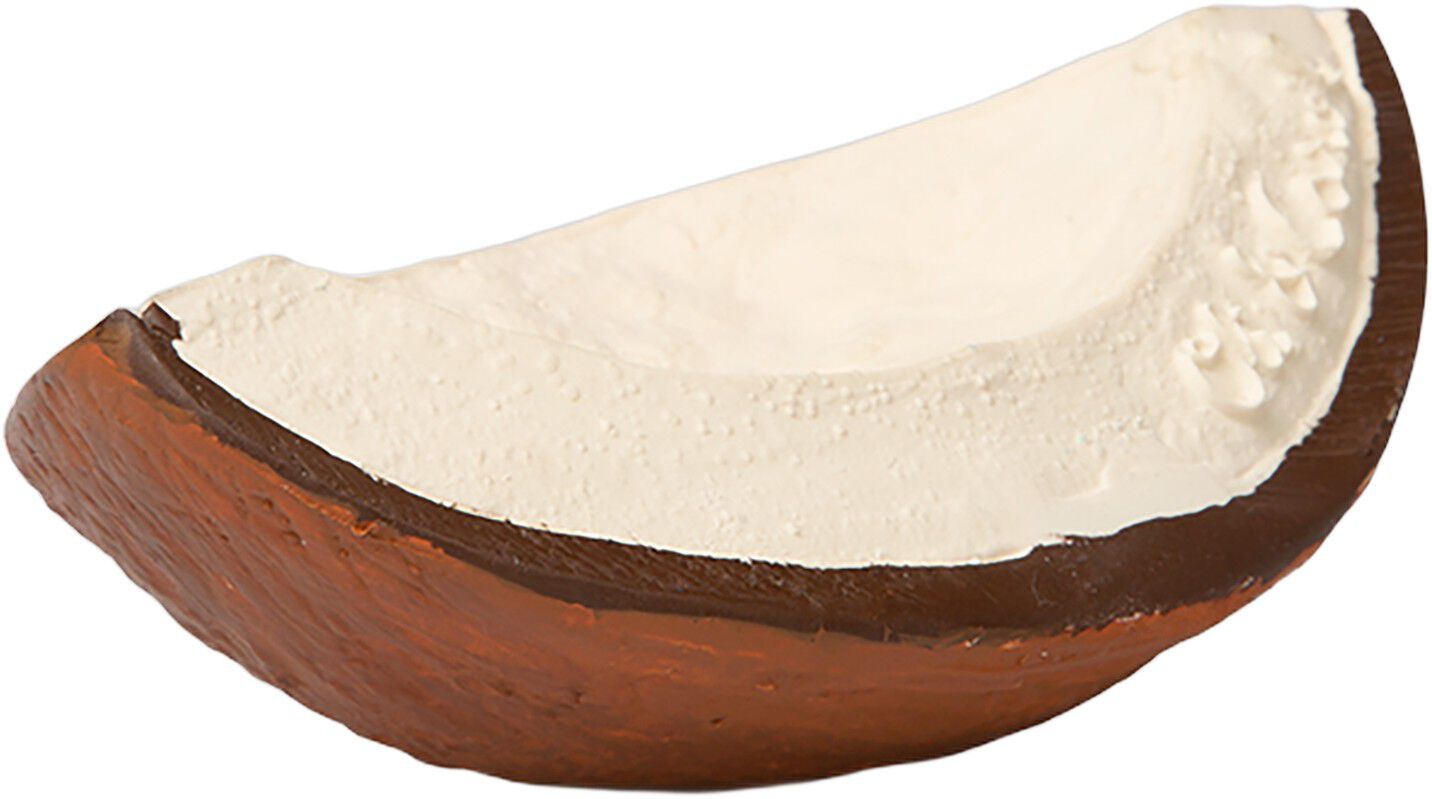 Oli & Carol - Bidering - Coco the Coconut