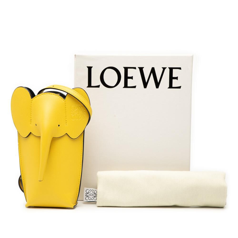 Loewe Crossbody Bag