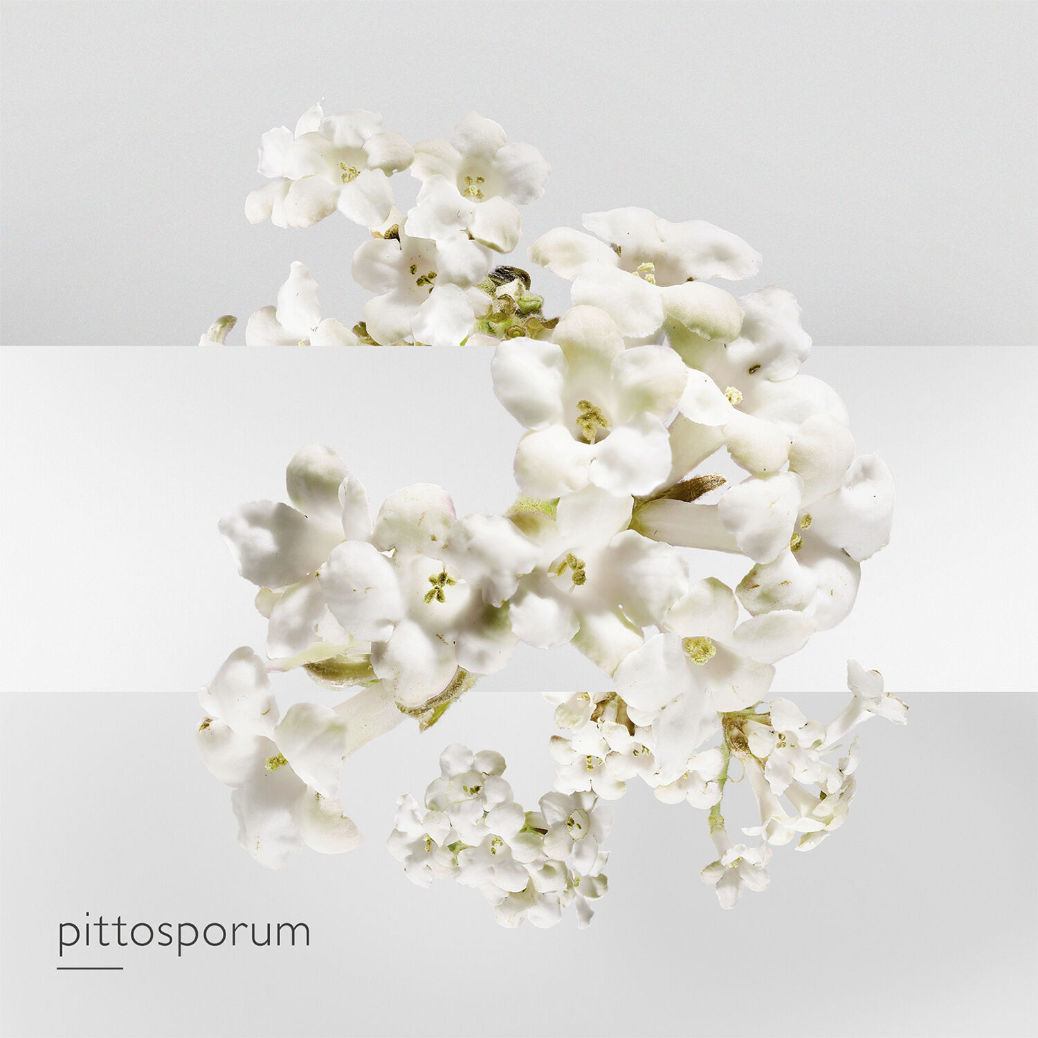 Un Jardin Sur la Lagune Eau de toilette