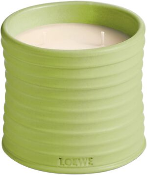 LOEWE Medium Cucumber Candle