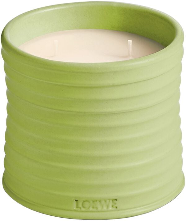 LOEWE Cucumber Medium Candle