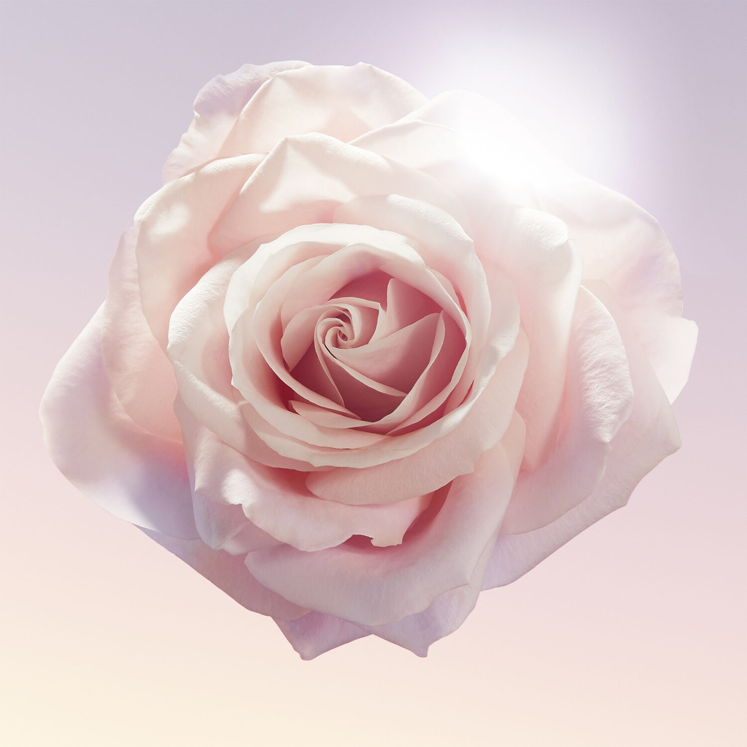 Id&ocirc;le Eau de Parfum