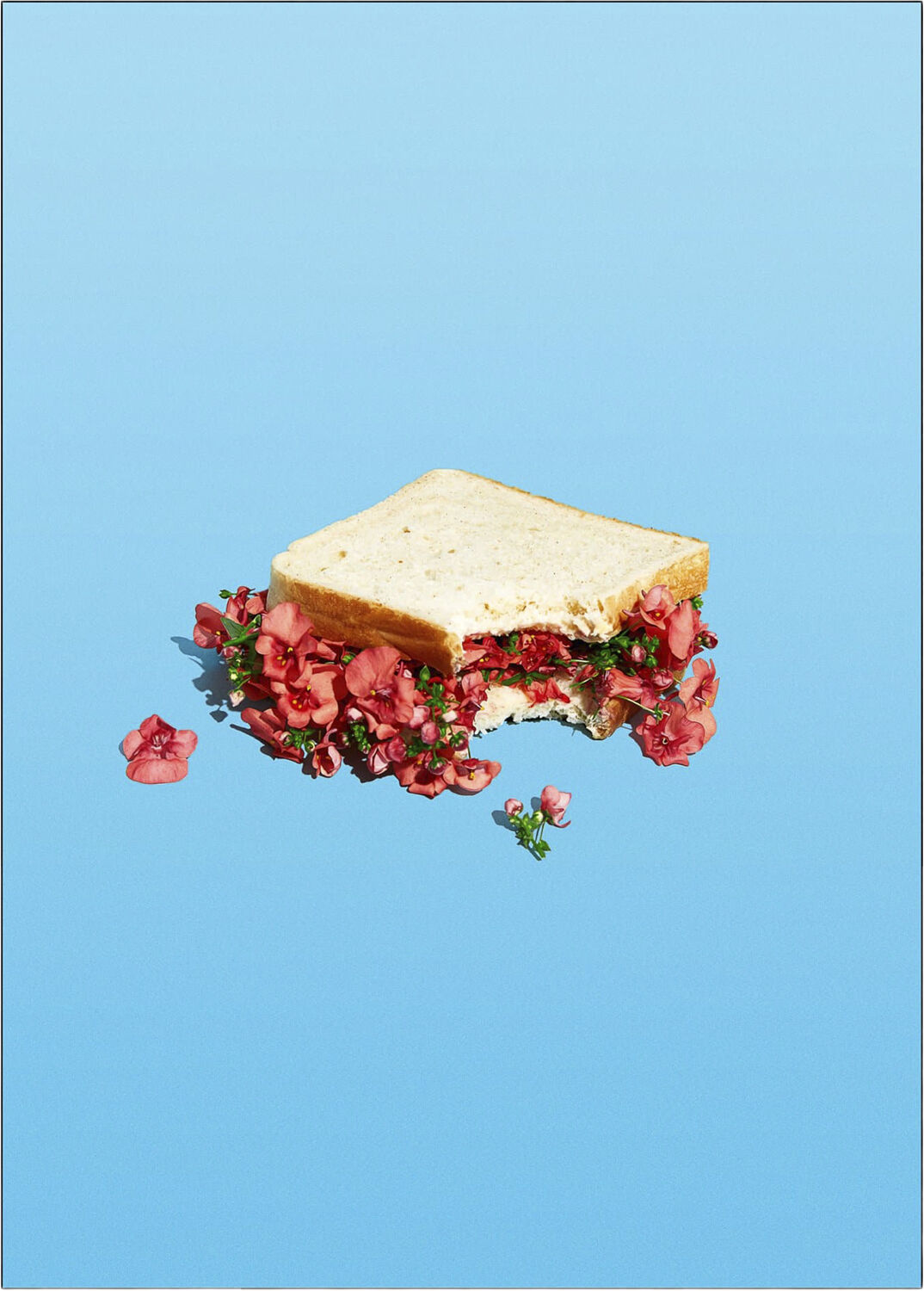 Super Mercat - Flower sandwich