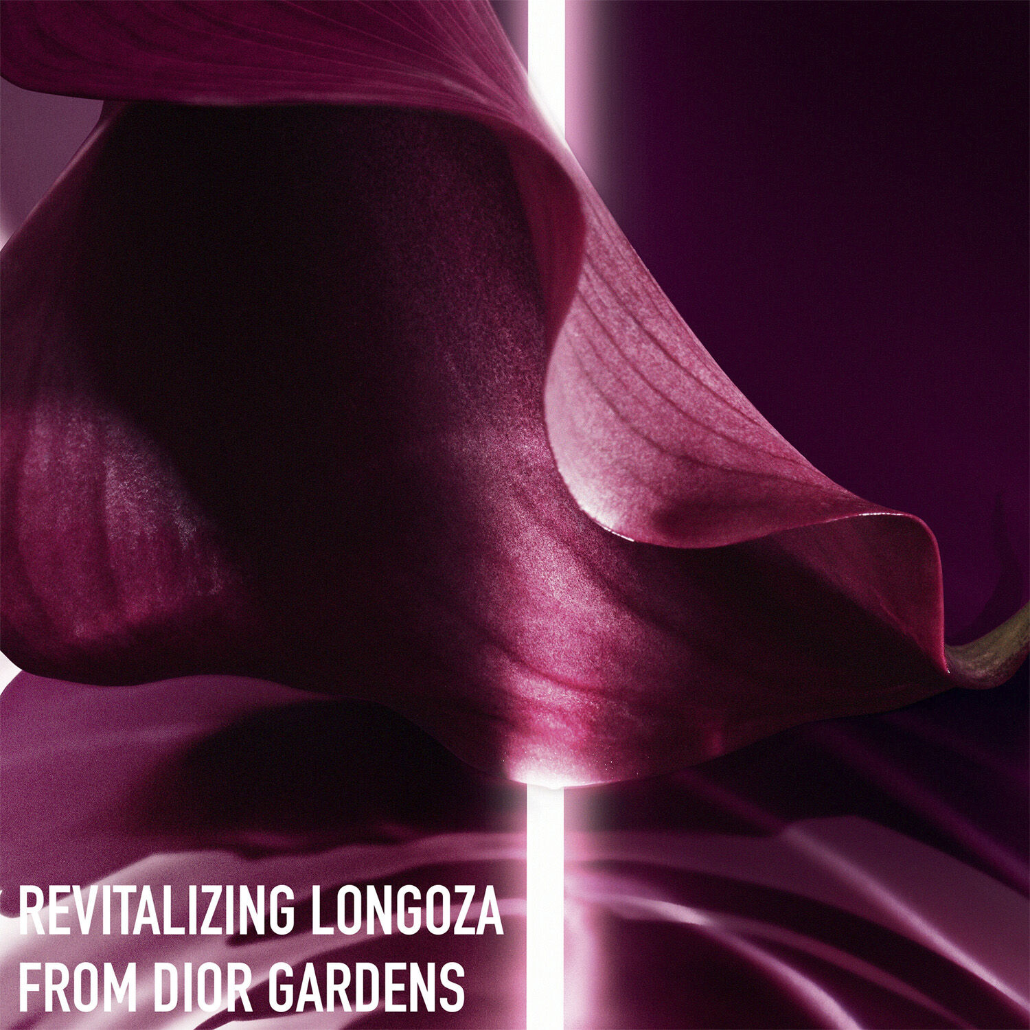 Capture Totale Firming & Wrinkle-Correcting Eye Creme