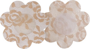 Luxury Lace Secret Covers