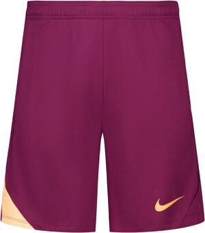 Strike Dri-Fit Shorts