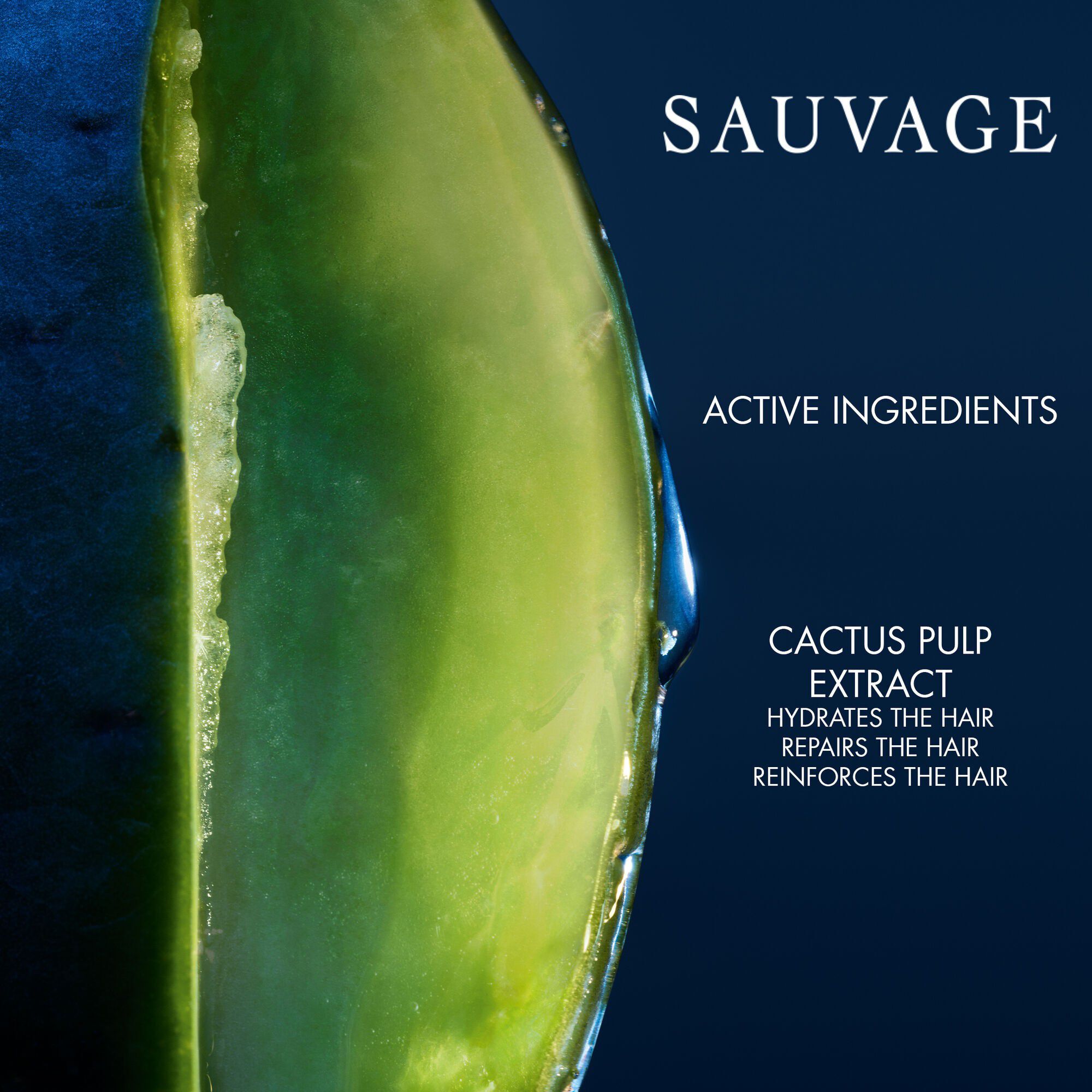 Sauvage Hydrating Shampoo