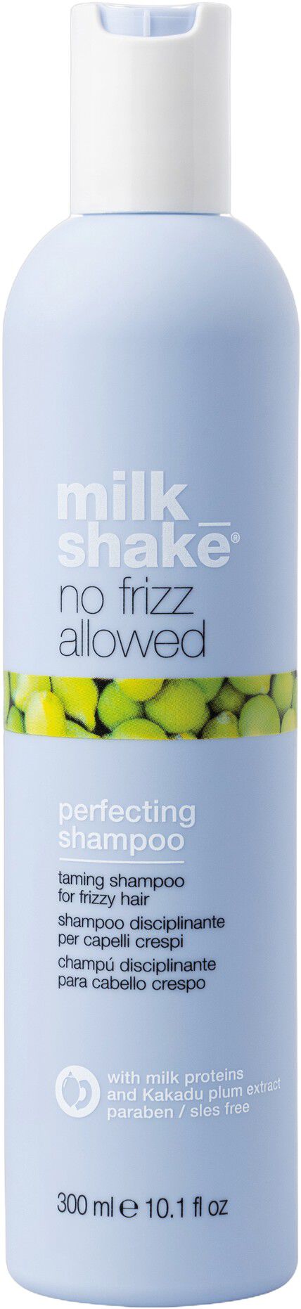 No Frizz Allowed Shampoo