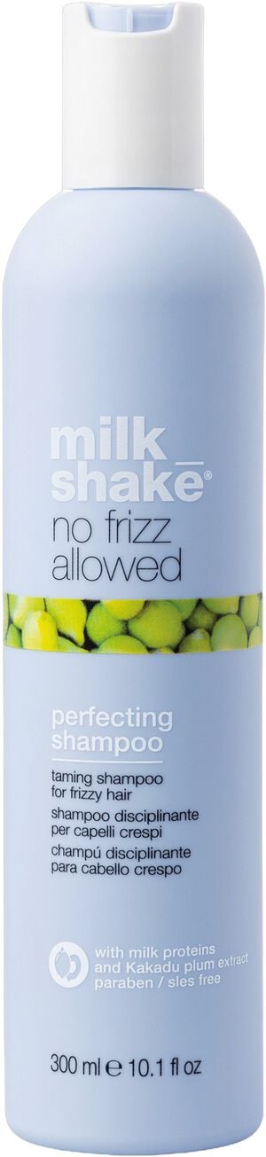 No Frizz Allowed Shampoo