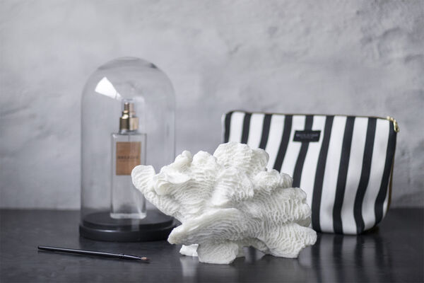 Coral, large fan