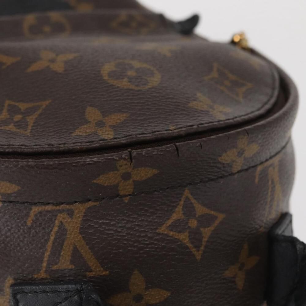 Louis Vuitton Palm Springs
