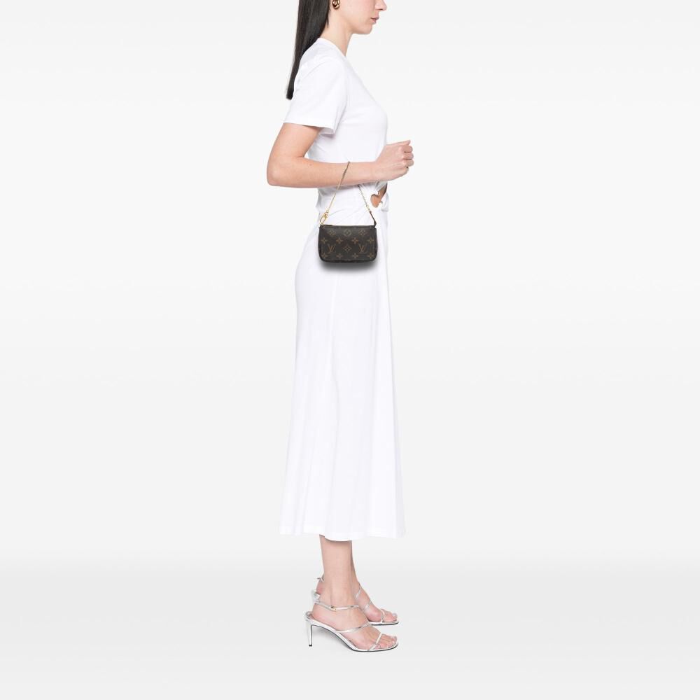 Louis Vuitton Pochette Accessoires