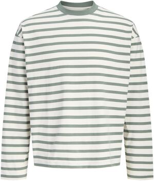 JORNORREBRO STRIPE TEE LS CREW NECK