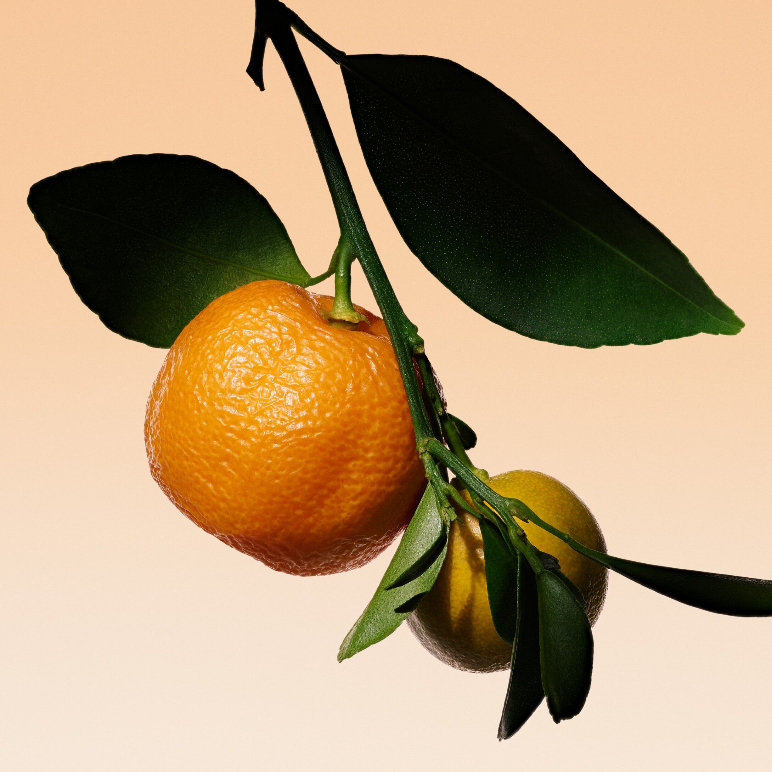 Armani/Priv&eacute; Orange M&eacute;diterran&eacute;e Eau de toilette 50ml