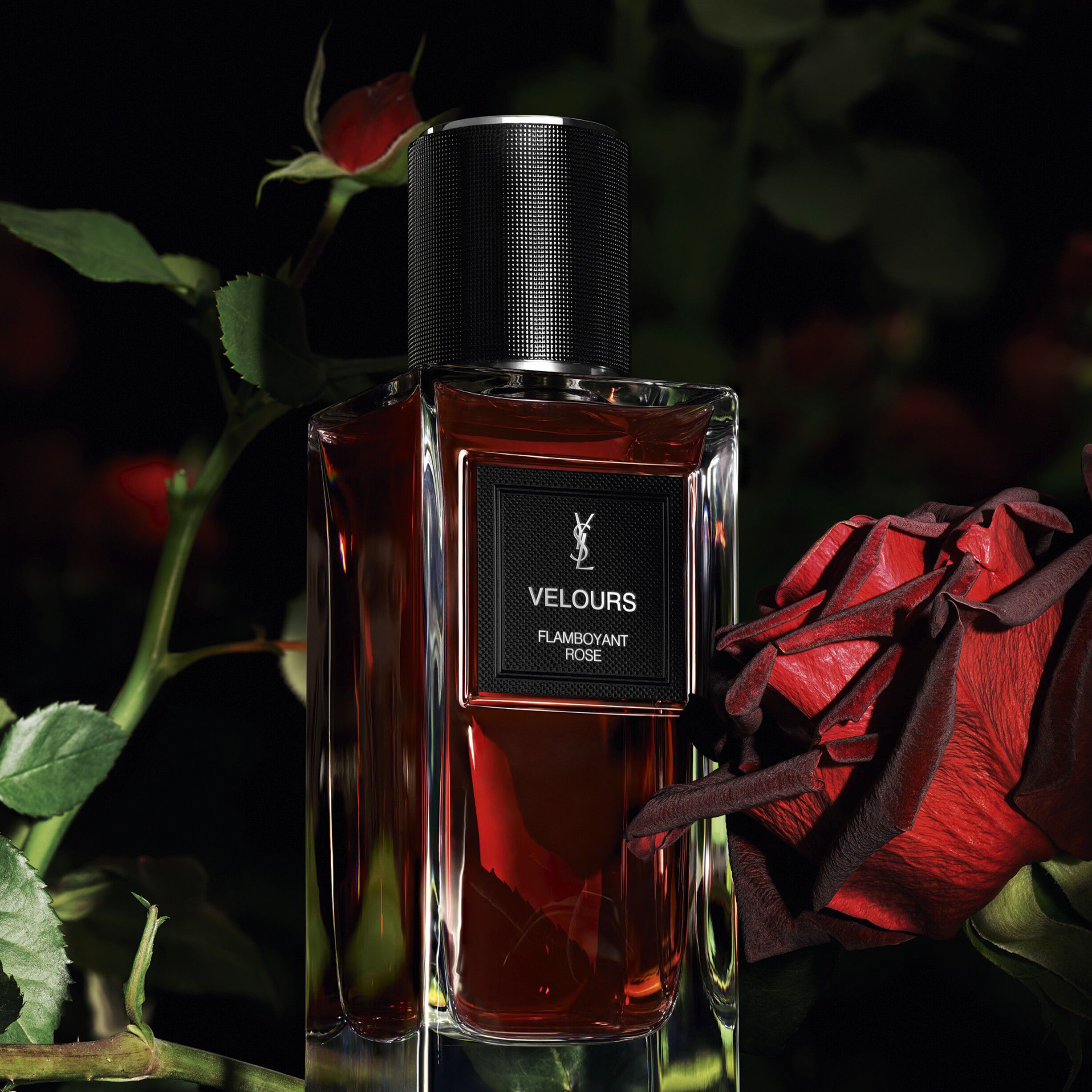 VELOURS - - Le Vestiaire des Parfums
