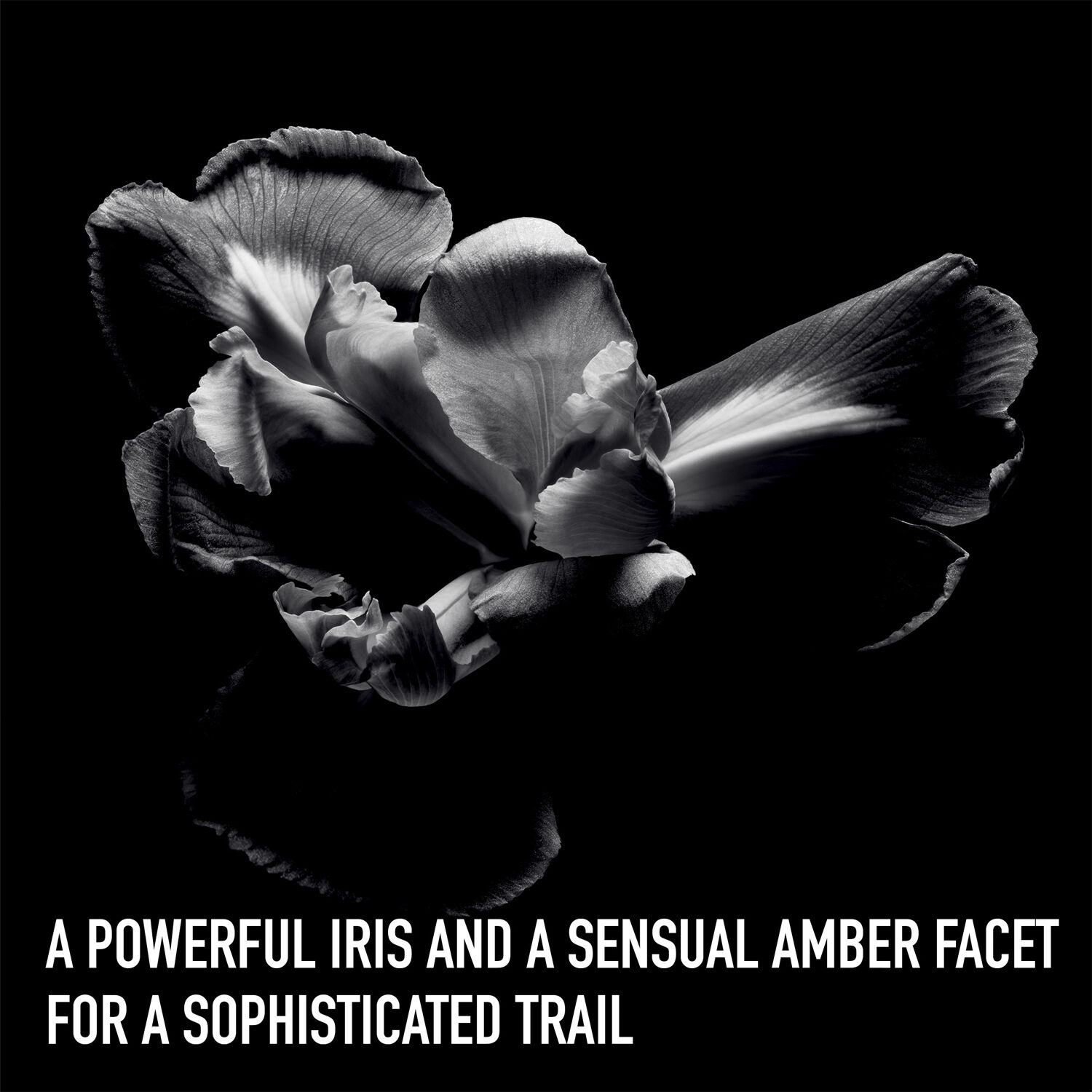 Dior Homme Intense Eau de parfum